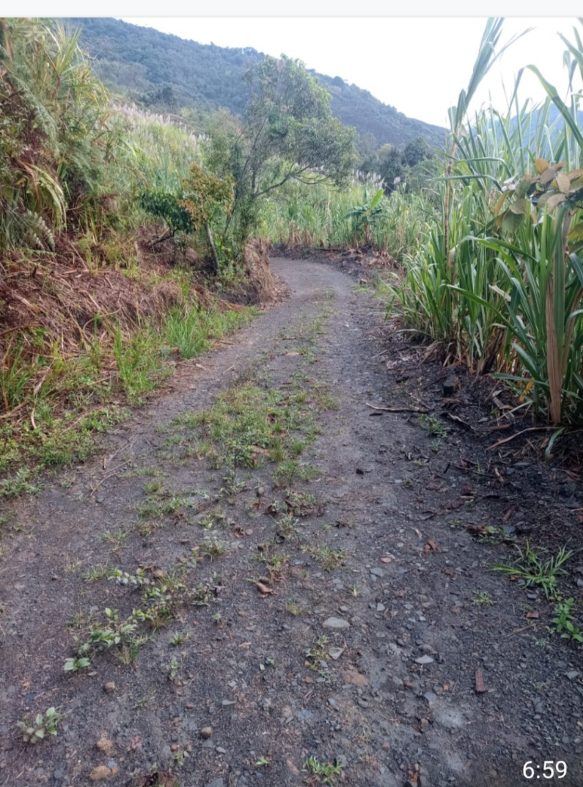 Vergara, La Vega, Cundinamarca, Colombia 4